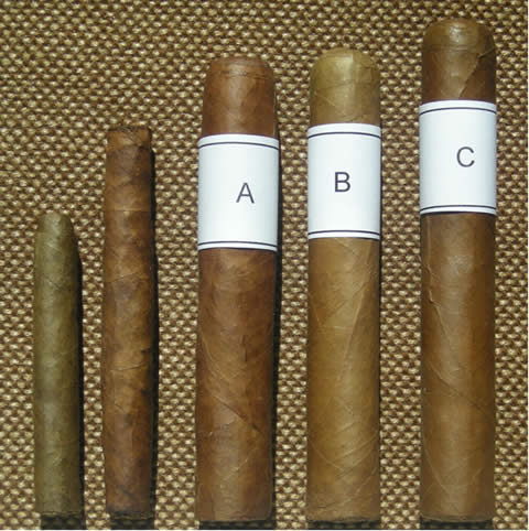 Young Selection Korte Senoritas- Torres de Quart Caliquenos No.2 - Robusto Blind Tasting