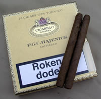 Cigarillo