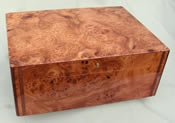 Savinelli Cigar Humidor - Olympia Burl - 75 cigars