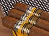Cohiba 1966 